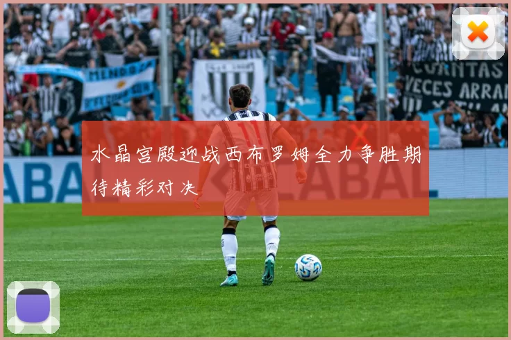 水晶宫殿迎战西布罗姆全力争胜期待精彩对决