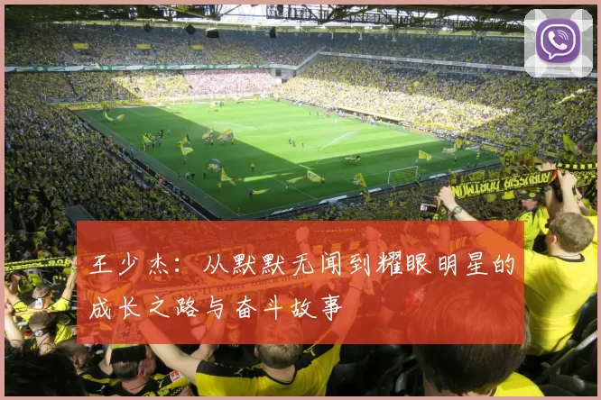 王少杰：从默默无闻到耀眼明星的成长之路与奋斗故事
